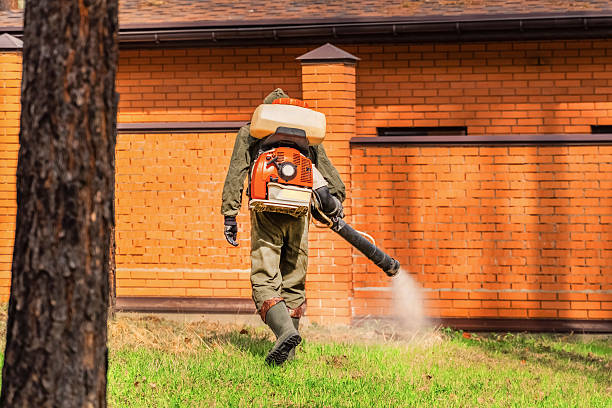 Bed Bug Clearance Verification and Documentation in Cutler
